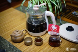 無(wú)人值守的烹煮良品 木木羊防溢養(yǎng)生壺使用體驗(yàn)