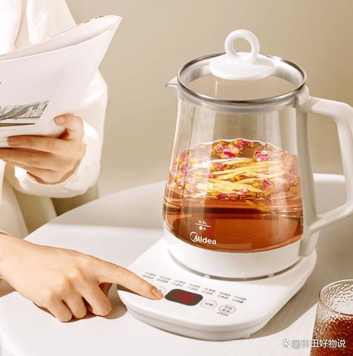 燒水壺品牌哪個最好耐用？2026年推薦3款超高性價比養生壺！