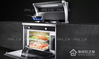 上派集成灶正憑創(chuàng)新產(chǎn)品征服全國用戶,新的一年繼續(xù)前進(jìn)