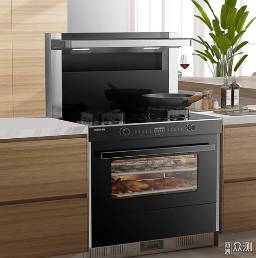 10大集成灶品牌有哪些 哪些集成灶品牌入圍