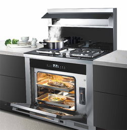 一個(gè)好的集成灶應(yīng)該具備哪些 大吸力 易清洗......