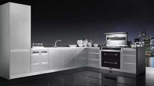 疫后家電市場新趨勢 集成灶銷量迅猛回升，凈水機需求持續(xù)增長